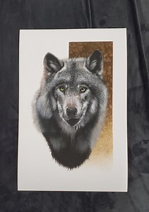 Limited Edition Wolf Art Print, Wildlife Giclee - Etsy