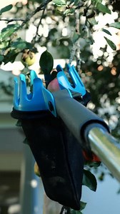Fruktplukkeren er ideell til enkel plukking av frukt i høyden! Takket være teleskopskaftet, og de små taggene mellom plastkantene på plukkeren, er det også enkelt å plukke mindre frukt fra trærne🍎 | GARDENA