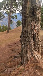 729K views · 75K reactions | Most beautiful scenery #mountainview | Travel With usman | Facebook