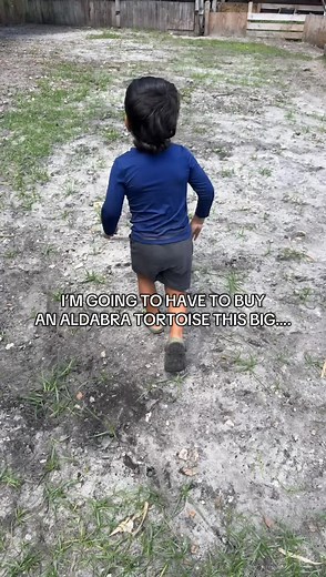 Not the tortoise standing up on command🤣 #aldabratortoise #tortoise #animals #aldabra