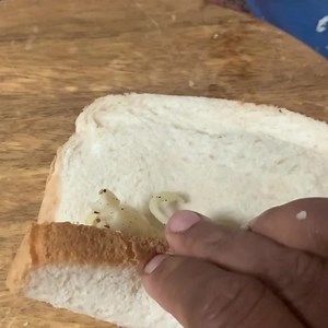 Ham and Cheese French Toast Roll ups 🫕 🧀 getting ready for Breakfast . Ham & Cheese Frenchtoast Roll ups 1.Bread-10-12 Ham-3-4 Mozzarella/Cheddar cheese (grated)-3/4 cup(as required) Chilli flakes/Pepper powder-as required Butter-as required Use a rolling pin to flatten the bread.Cut each ham slice into 3 and place 1 piece to the one end of the flattened bread.Place 1-2 tbsp of grated cheese over the ham evenly and roll it up tightly and finish with the seam side down. 2.Egg-1 large Milk-1/4 c