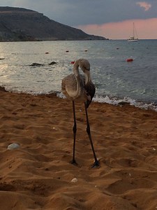 25K views · 266 reactions | It looks like it was a good weekend for...