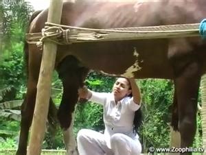 Schwarze MILF beißt Pferd