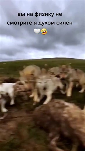 Understanding Resilience Through Humor in Life