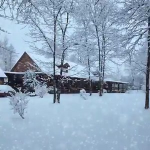 The Christmas Page on Reels