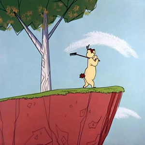 Funny video | Allainn