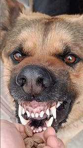 Без страшный #клаунхаус