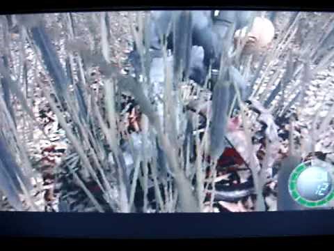 "Biohazard 4" Game Cube