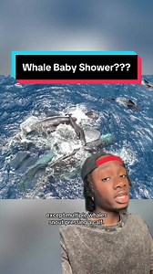 Whale Baby Shower? Supporting WWF's Conservation Efforts