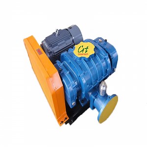 [Hot Item] Nsrh80 Tri-Lobe Roots Blower/Vacuum Pump/Air Pump/Pd Blower