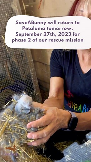 1.5K views · 86 reactions | Rescue Update - Phase 2 Countdown Begins...
