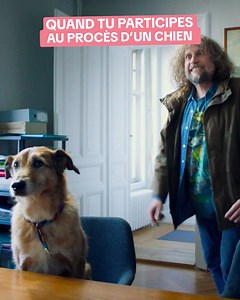 Rejoignez le procès le plus fou de cette rentrée ! #LeProcèsduChien, réalisé par et avec Laetitia Dosch, avec aussi François Damiens, Jean-Pascal Zadi, Anne Dorval et Kodi le chien ! Le 11 septembre au cinéma. Plus d'infos 👉 https://le-proces-du-chien.lefilm.co/ | The Jokers