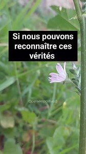 Nos vies seront pleines de sens .. | Pensées Positives