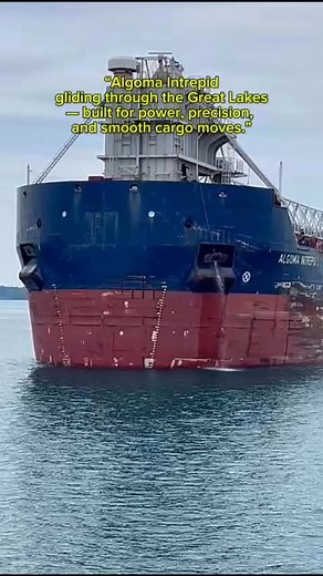 The Algoma Intrepid is a self-unloading dry bulk carrier, part of the Equinox 650 class. Has a forward-mounted unloading boom, which gives it more flexibility — especially at hard-to-reach docks. #highlightseveryone #reelsvideoシ #nonfollowersviewers #reels #follower #Michigan #lakes #SooLocks #cargoship | Mendoza Vida Dizon