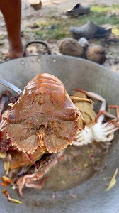 Yummy Seafoods | Ran Olivares