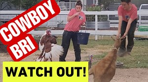 Boots, chaps and spurs | Shirtless Jake's Homestead