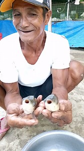 33K views · 223 reactions | Takam na takam yung isda ni Diwato | W Bush Tv | Facebook