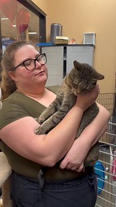 Homeless Pets Foundation on Reels