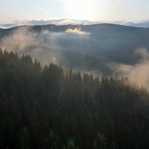 The Carpathian Mountains, surrounded by their mysterious atmosphere and fairy-tale aura, shelter the largest free European wolf and bear populations as well as the highest number of European virgin forests. #AQUACarpatica #NaturesMostPerfectWater #carpathianmountains #mountains #transylvania #magictransylvania #mountainlover #mountainphotography #mountainviews #mountainscapes #mountainphoto | AQUA Carpatica | Facebook