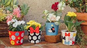 Create A Magical Garden With These Minnie Mouse Flower Pots! | Chip and Company