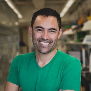 Genomic characterization of emerging carbapenem-resistant Klebsiella pneumoniae infections at a public hospital in Lima, Peru