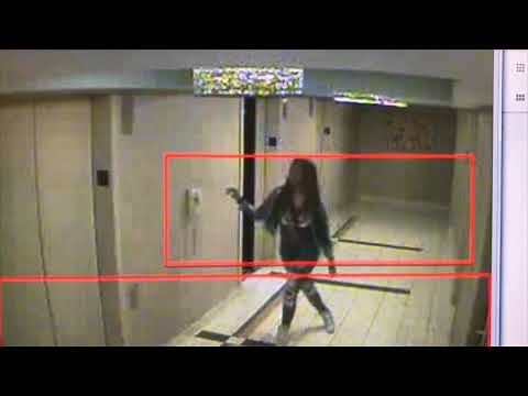 Rosemont hotel surveillance video 2