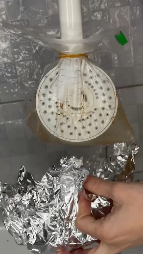 Quick shower head cleaning tips | Naturee