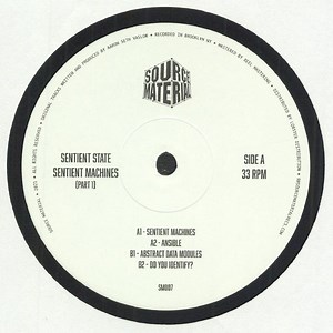 Sentient State - Sentient Machines (Part 1)