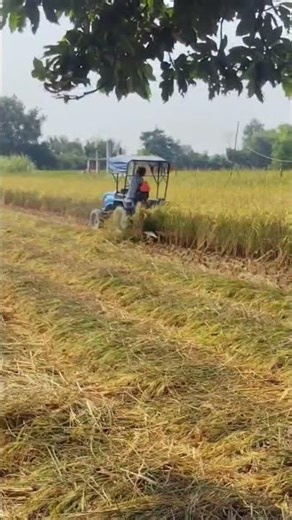 Sonalkia MM - 18 #shortsfeed #automobile #shortvideo #shorts #sonalika #sonalikatractorpower