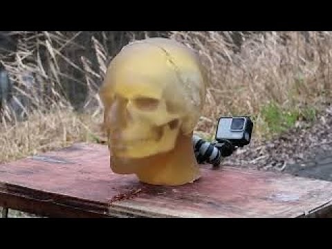 12ga clean shot VS Ballistic Gel Head!