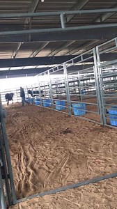 Bulls are beginning to arrive and be assigned to their hotel room(pen) for the weekend | Exclusive Bucking Bull Info