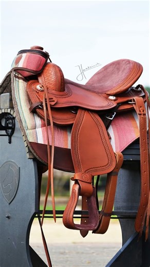 🌵 The EDIX Django, a treeless western saddle⁠ ⁠ Looking for the ultimate combination of freedom, comfort, and western style? The EDIX Django treeless saddle brings you all that and more!⁠ ⁠ ✅ No rigid tree: allows your horse complete shoulder freedom and encourages natural movement⁠ ✅ Close contact feel: for better communication between horse and rider⁠ ✅ Lightweight (for a western saddle) yet durable: built for long trail rides or everyday training⁠ ✅ Classic look: with all the benefits of mod
