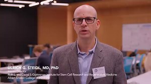 Do you have a favorite stem cell? Our researchers do. At the third annual Einstein Stem Cell Institute Retreat, our investigators spoke with us about their love of stem cells, the importance of connecting with their peers, and Einstein's collaborative and supportive environment. | Albert Einstein College of Medicine