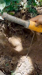 Wow! I found another nice gold nugget. | GO finder