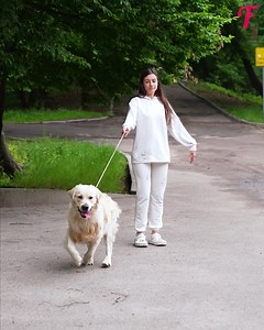7.1K views · 93 reactions | Après avoir joué dans la boue, le grand chien blanc a retrouvé son aspect d'origine. | Femme Heureuse | Facebook
