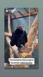 Blackpool Zoo on Reels