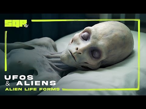 Alien Life Forms | UFOs & Aliens