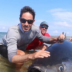 206K views · 3.5K reactions | 9ft 800LB Giant Fish From the Deep!略 | Jonny Brooks Fishing | Facebook