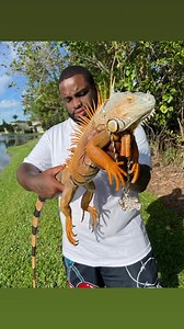 15K views · 116 reactions | Lil Lazard! What i be doing den!!? 年#fyp | FatandFunny aka Kitchen | Facebook