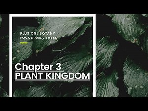 plant kingdom | plus one | plus one botany | chapter-3