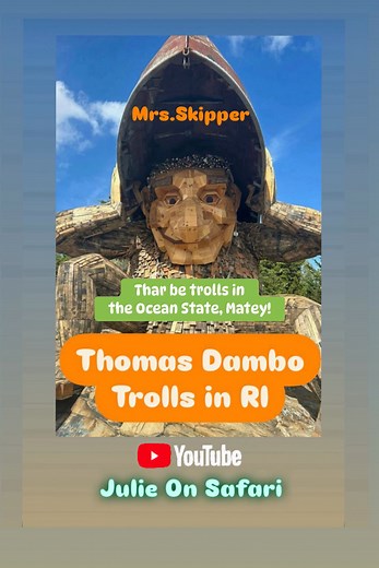 Visit “Julie On Safari” on YouTube for the full Dambo Trolls story, as well ✨ #thomasdambotrolls #rhodeisland #eastprovidence #funforkids #trolls #RhodeIslandEvents #scavengerhunt #familyactivities #Thunderstone | Julie Garnett