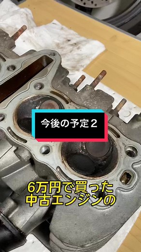 TikTokでまことことんさんをチェック！