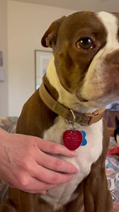 13K views · 907 reactions | Lounging around with E.T.藍 on an ugly,...