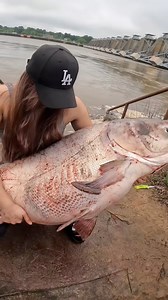 60K views · 1K reactions | A classic! #fishing | Tonystayfishin 2.0 | Facebook