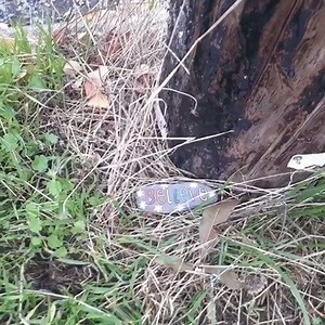 Did you know The #Essex Youth Offending Service works with children and young people who have offended, to help prevent them getting into further trouble. The team work with parents, carers, victims and the community to help young people understand the consequences of their actions. An example of their great work is when they hid painted stones with positive messages across Essex, created by young people, volunteers and staff. Find out more on what they do: essex.gov.uk/youth-offending-service |