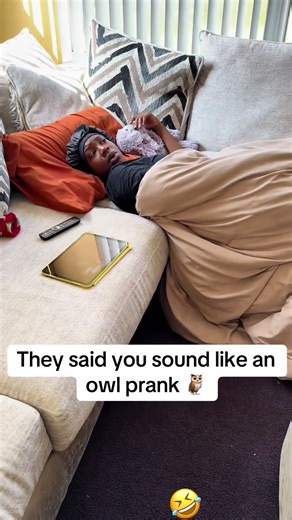 The hoo prank #owl #funnyvideos #jokes #owlchalleng