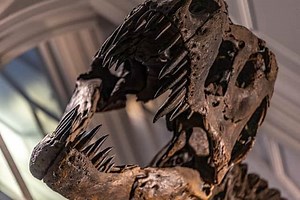 The top Manchester attractions you simply have to visit in 2024 | ManchesterWorld | Facebook