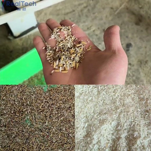 rice color sorting full set rice processing equipment