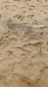 Alcobaça Bahia on Reels