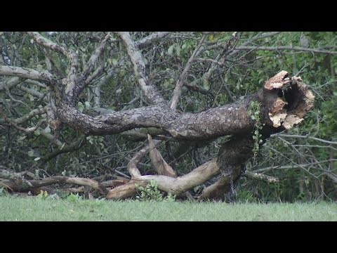 NWS confirms two tornados touched down in WNY